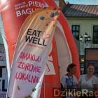 zdjęcie nr 16