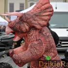 zdjęcie nr 43