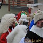 zdjęcie nr 450