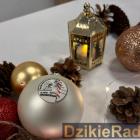 zdjęcie nr 26