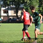 zdjęcie nr 15
