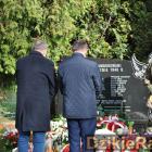 zdjęcie nr 223