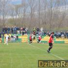 zdjęcie nr 117
