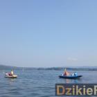 zdjęcie nr 33