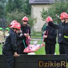 zdjęcie nr 288