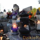 zdjęcie nr 27