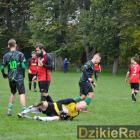 zdjęcie nr 99