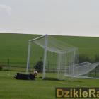 zdjęcie nr 36