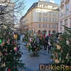 Fot. OPG Węgierska Górka 