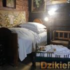 zdjęcie nr 23