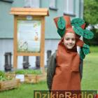 zdjęcie nr 64