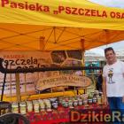 zdjęcie nr 368
