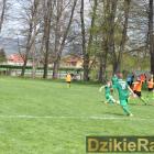 zdjęcie nr 11