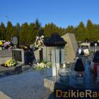 zdjęcie nr 16