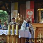 zdjęcie nr 42