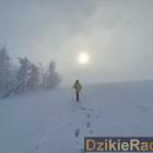 zdjęcie nr 12