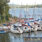 zdjęcie nr 80