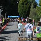 zdjęcie nr 44