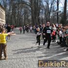 zdjęcie nr 104