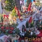 zdjęcie nr 111
