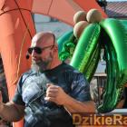 Fotka nr 0 z 27