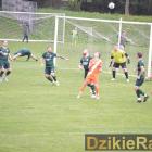 zdjęcie nr 9