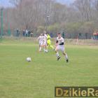 zdjęcie nr 243