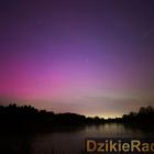Fot. Joanna Dudek