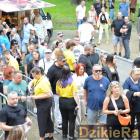 zdjęcie nr 14