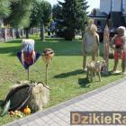 zdjęcie nr 91