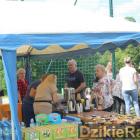 zdjęcie nr 22