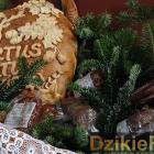 zdjęcie nr 96