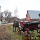 zdjęcie nr 178