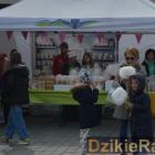 zdjęcie nr 31