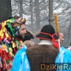 zdjęcie nr 260