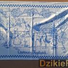 zdjęcie nr 41