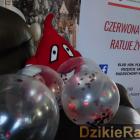zdjęcie nr 9