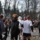zdjęcie nr 73