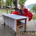 zdjęcie nr 47