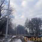 Fot: DzikieRadio®