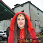 zdjęcie nr 244