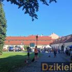 zdjęcie nr 49