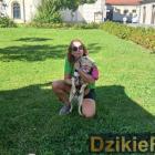 zdjęcie nr 34