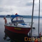 zdjęcie nr 282