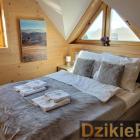 Fotka nr 2 z 13