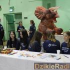 zdjęcie nr 168