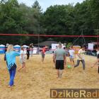 zdjęcie nr 246