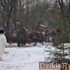 zdjęcie nr 98