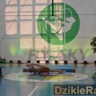 zdjęcie nr 168