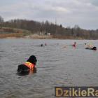 zdjęcie nr 78